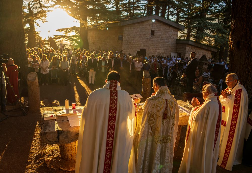 Maronites and the cedars